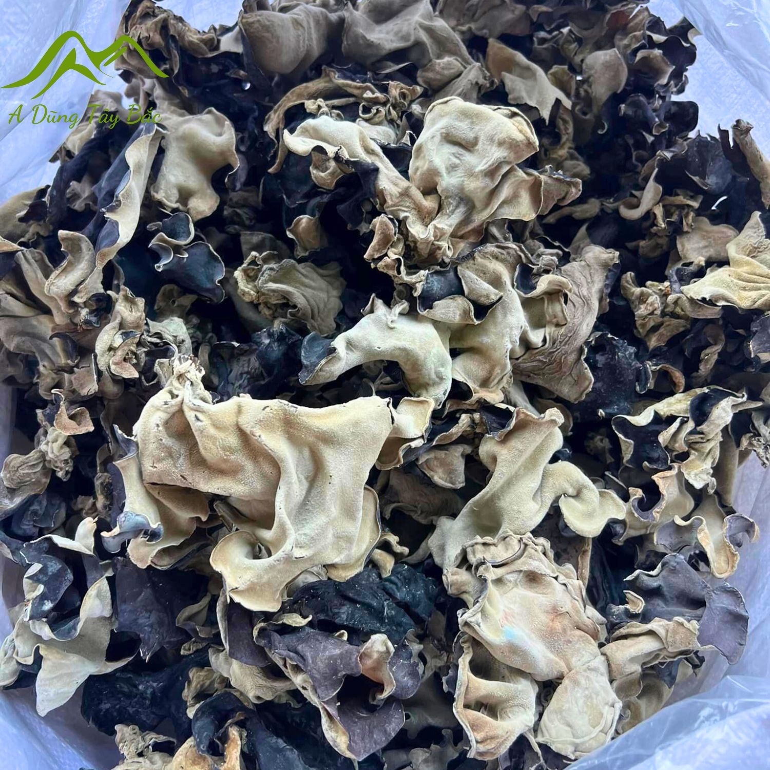 Mộc nhĩ rừng khô cao cấp loại 1 ngon giòn, không tẩm hóa chất, tai nấm to. Đặc sản mộc nhĩ đen, nấm mèo khô Tây Bắc