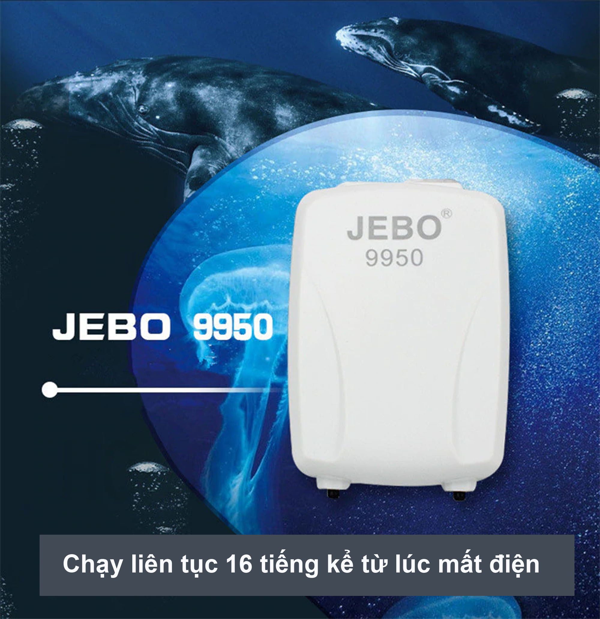Máy sủi oxy tích điện 2 vòi ĐỀ PHÒNG CÚP ĐIỆN hiệu JEBO 9950 thích hợp cho hồ cá cảnh, hồ thủy sinh và đi câu cá,. Bảo hành uy tín bởi LYLYSHOP