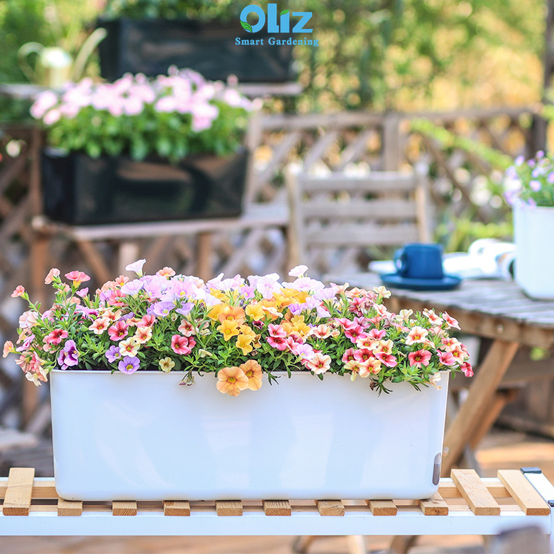 Chậu nhựa trồng cây oliz a207 - chậu trồng cây tự tưới. không bao gồm giá treo