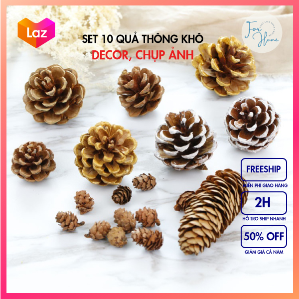 ⚡SET 10 QUẢ THÔNG⚡Quả Thông Khô Đà Lạt Decor, Trang Trí Nhà Cửa, Đạo Cụ Chụp Ảnh
