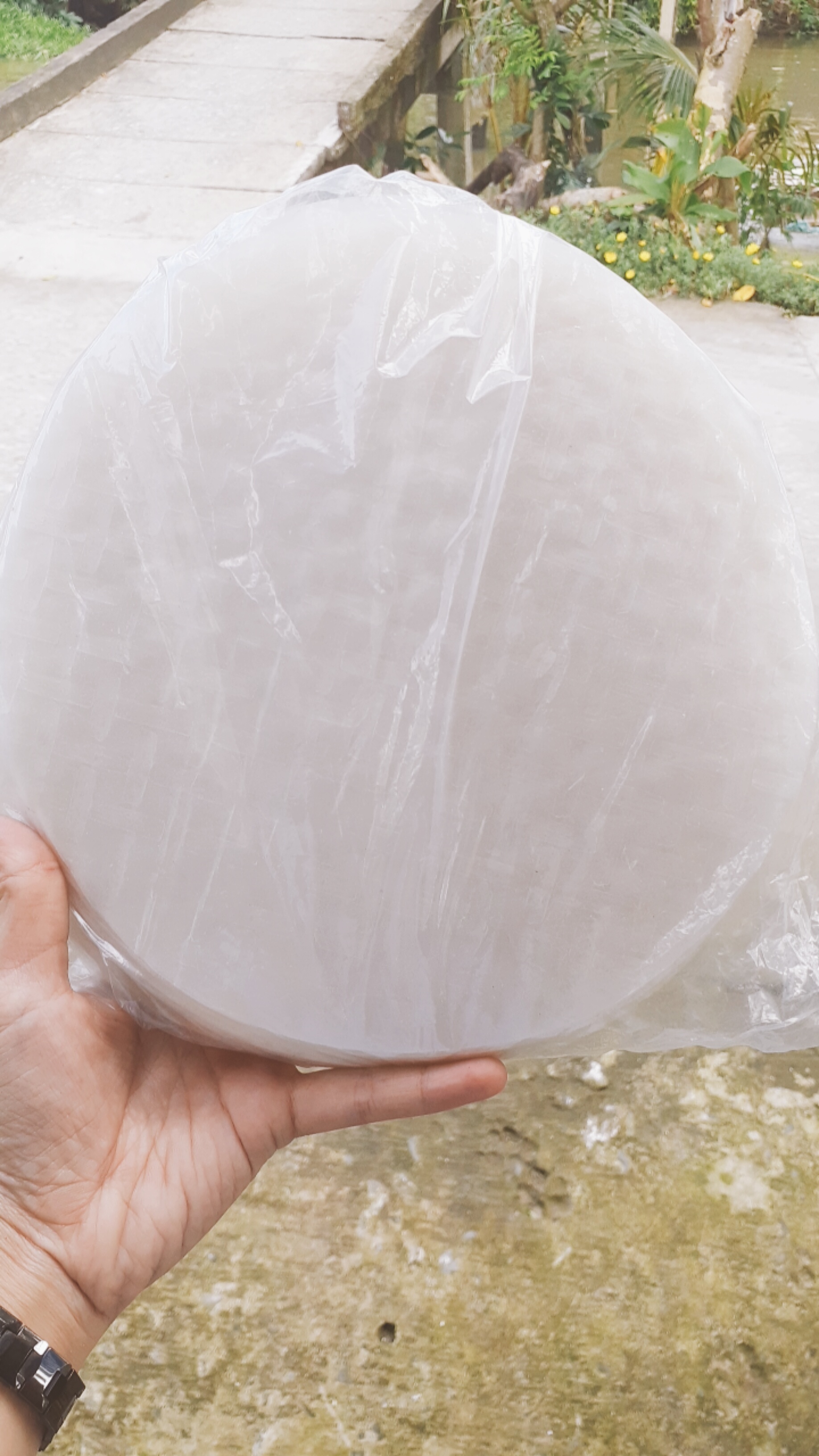 Bánh tráng cuốn Tây Ninh
