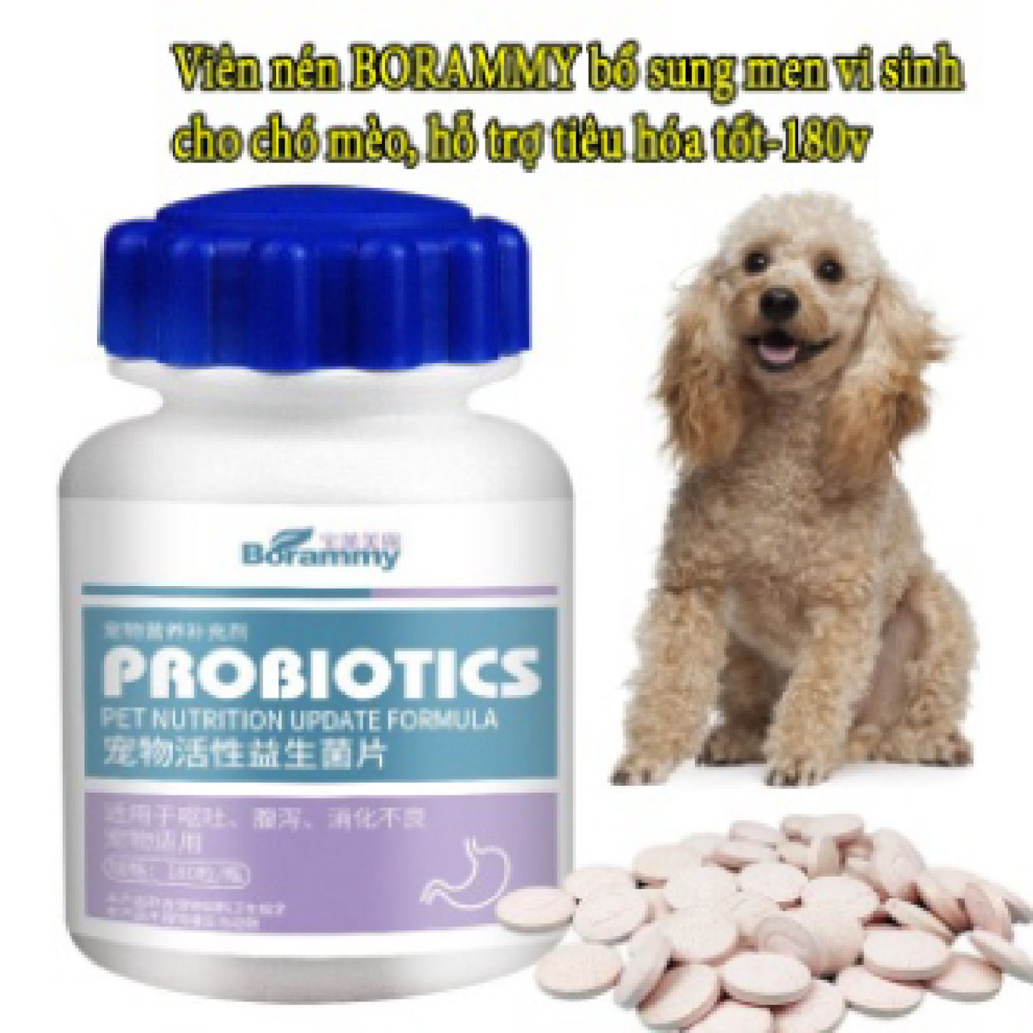 Combo 4 hộp borammy chăm sóc sk thú cưng