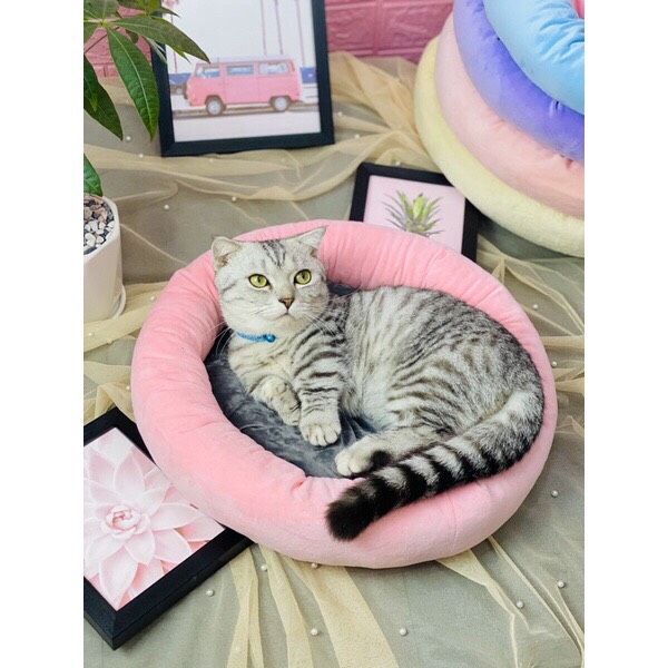 Nệm Ngủ hình TRÒN, Nệm hình TAI MÈO Cho Chó MÈo - Thú Cưng Siêu Cute
