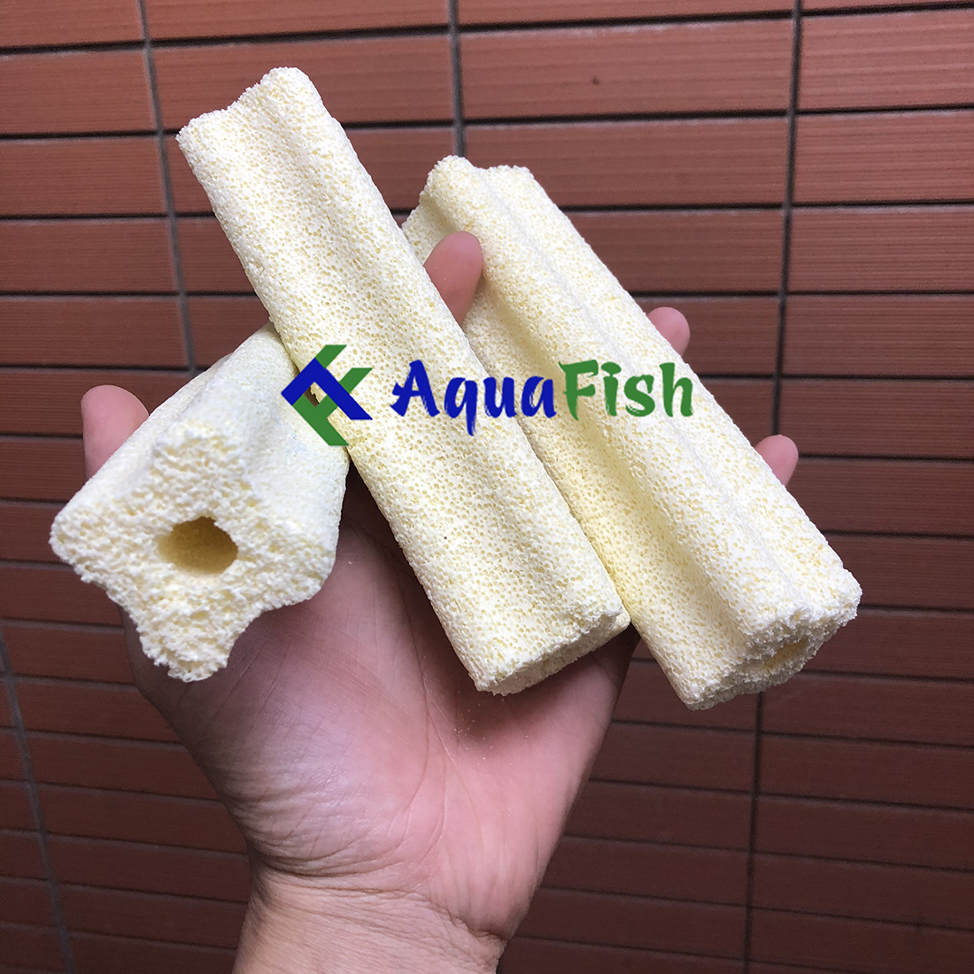 Combo 10 sứ thanh hoa mai giúp lọc nước bể cá, hồ cá