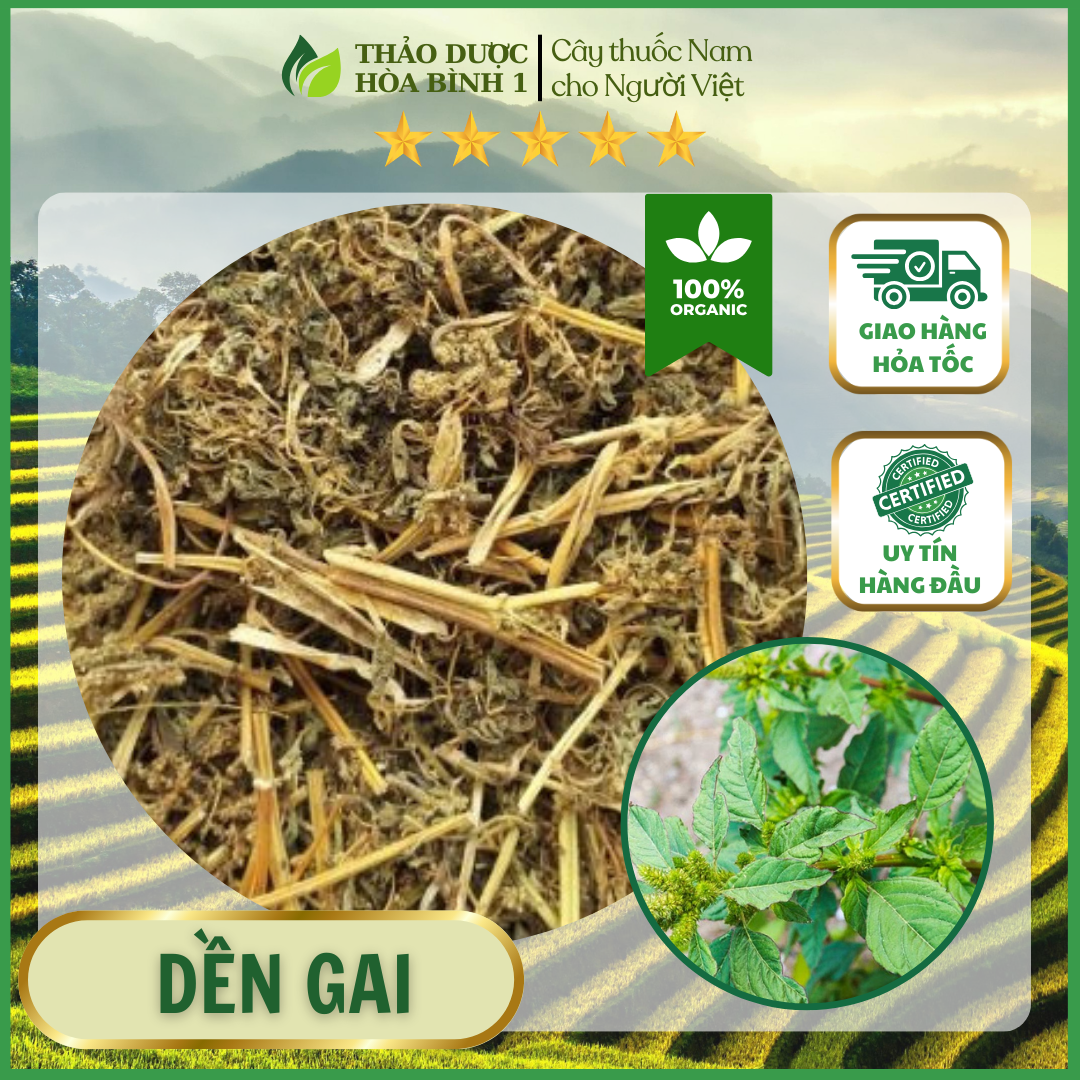 500gr cây dền gai khô chống nhức mỏi xương khớp.