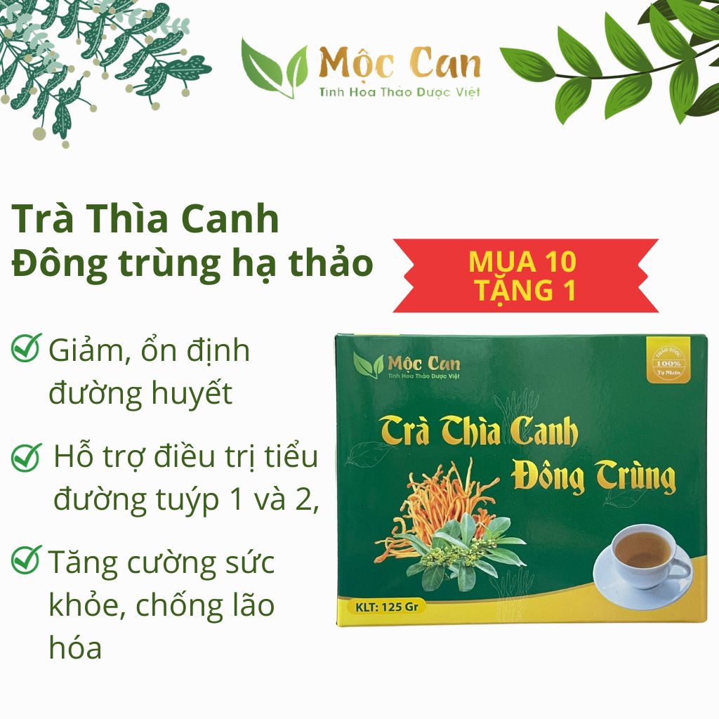  Trà Dây thìa canh Mộc Can đông trùng hạ thảo hạ và ổn định đường huyết ngăn biến chứng tiểu đường hộp 25 túi lọc 