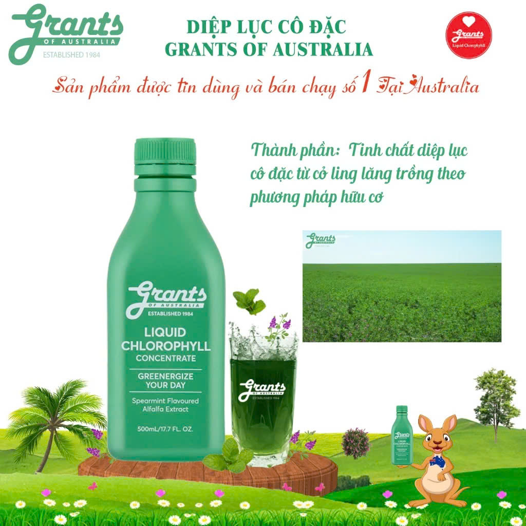 Nước Diệp Lục Cô Đặc Grants Of Australia 500ml/ Chai
