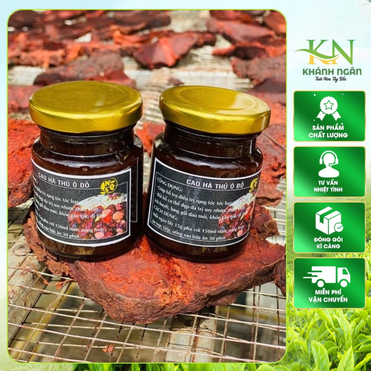 Cao Hà Thủ Ô Đỏ - Hỗ trợ chứng rụng tóc, tóc bạc sớm, Bồi bổ cơ thể