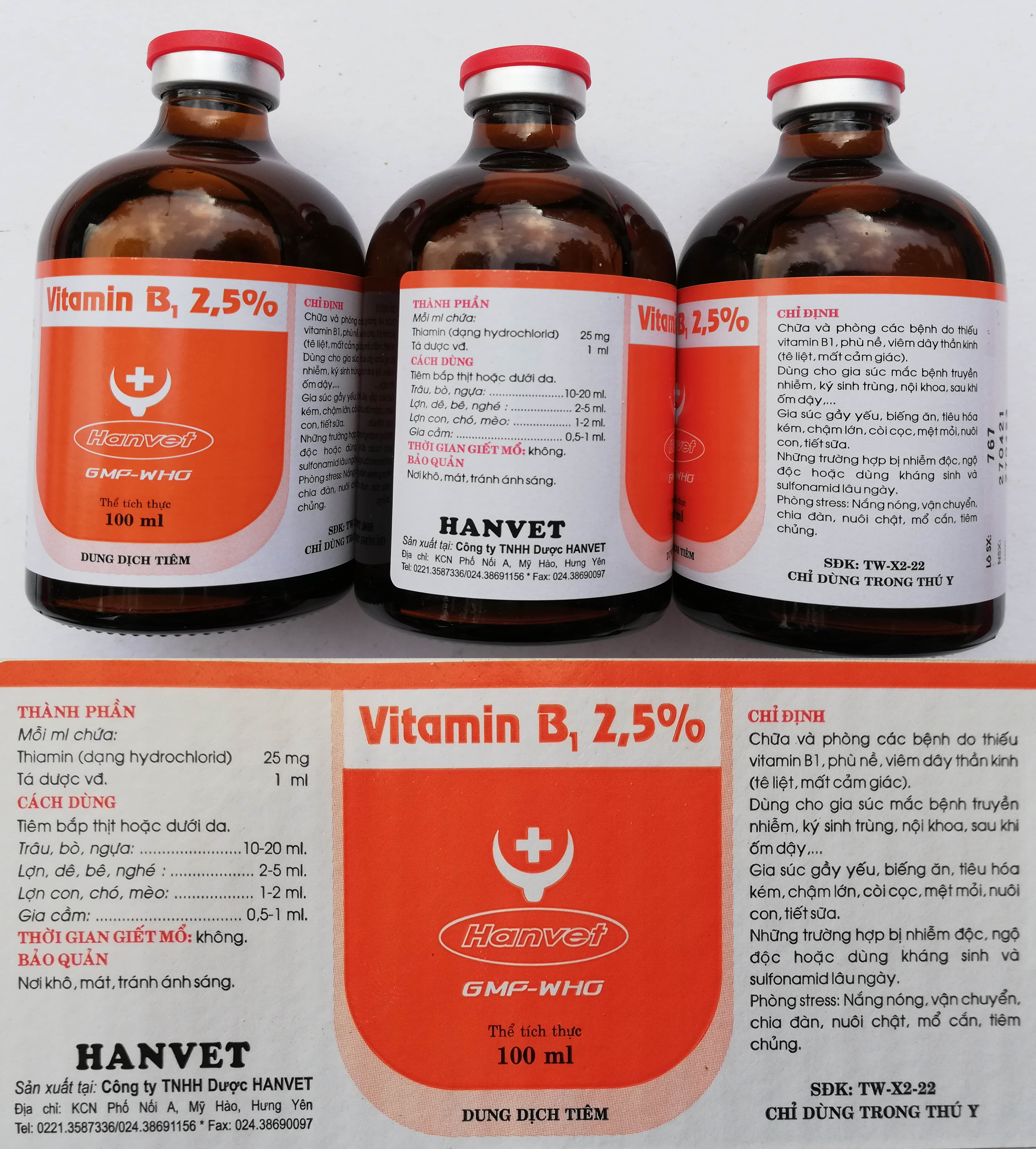 1 lọ Vitamin B1 100 ml Dùng cho gia súc, gia cầm, chó mèo mắc bệnh truyền nhiễm, sau khi ốm dậy, gầy yếu, biếng ăn, tiêu hóa kém, chậm lớn, còi cọc, bị nhiễm độc.