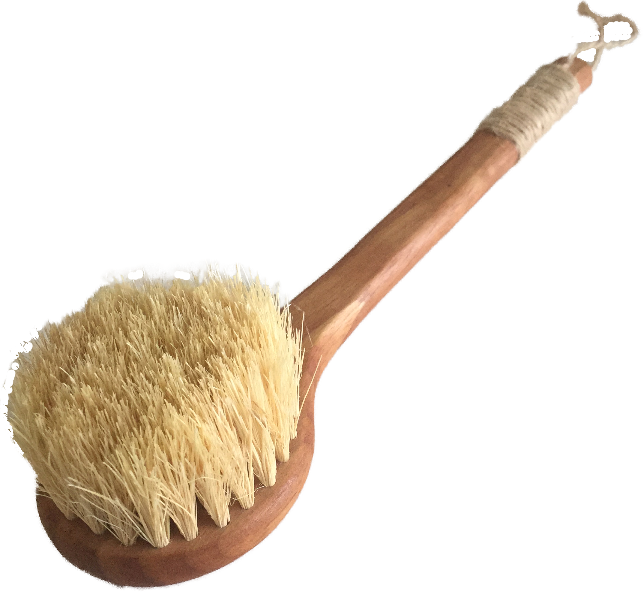 Bàn chải tắm khô Vegan lông bằng sợi xương rồng, keo và sơn phủ 100% tự nhiên - Ekoko Cactus Bristles Dry Brush