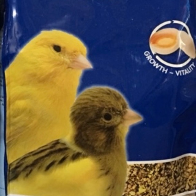 Cám trứng vàng cho chim Yến gói 100g