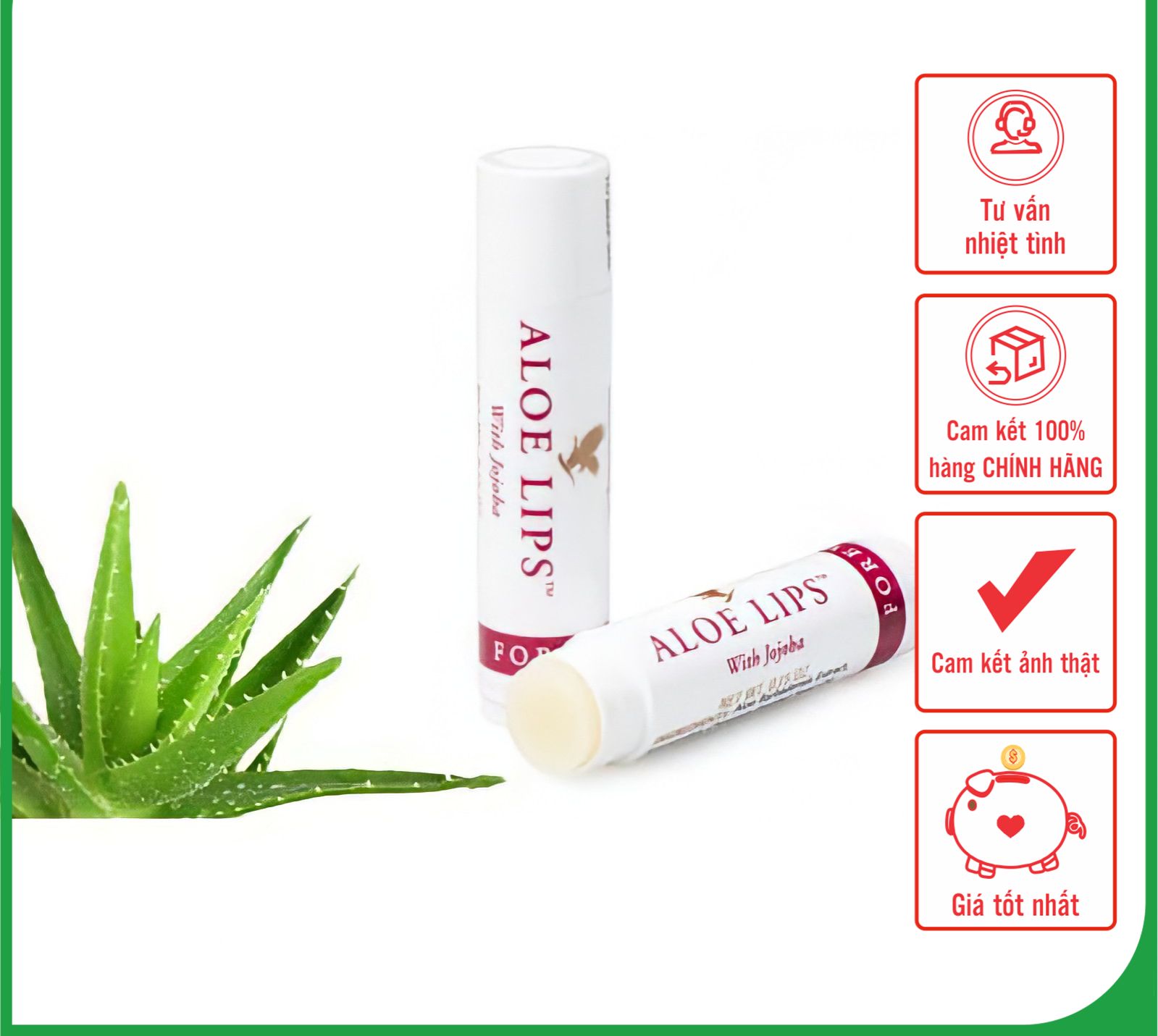 [CHÍNH HÃNG]COMBO 5 Tuýp Son dưỡng ẩm, son dưỡng môi lô hội Aloe Lips 022FLP| Cam kết chính hãng, hoàn tiền 100% nếu phát hiện hàng fake  Date: T8-2026