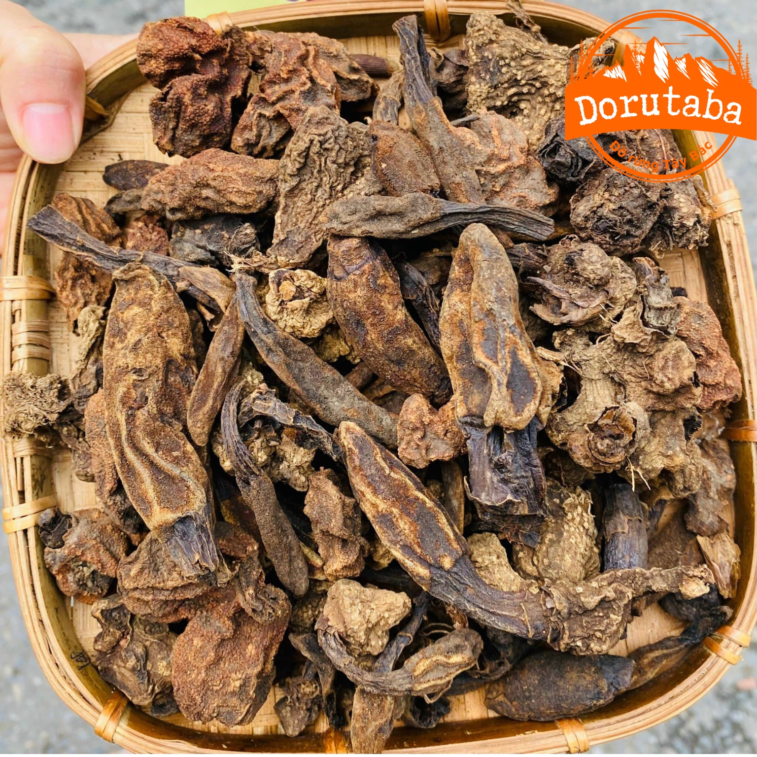 Nấm Ngọc cẩu khô loại 1 Nấm toả dương tích dương ngọc cẩu tím ngâm rượu bổ thận tráng dương tăng cường sinh lý