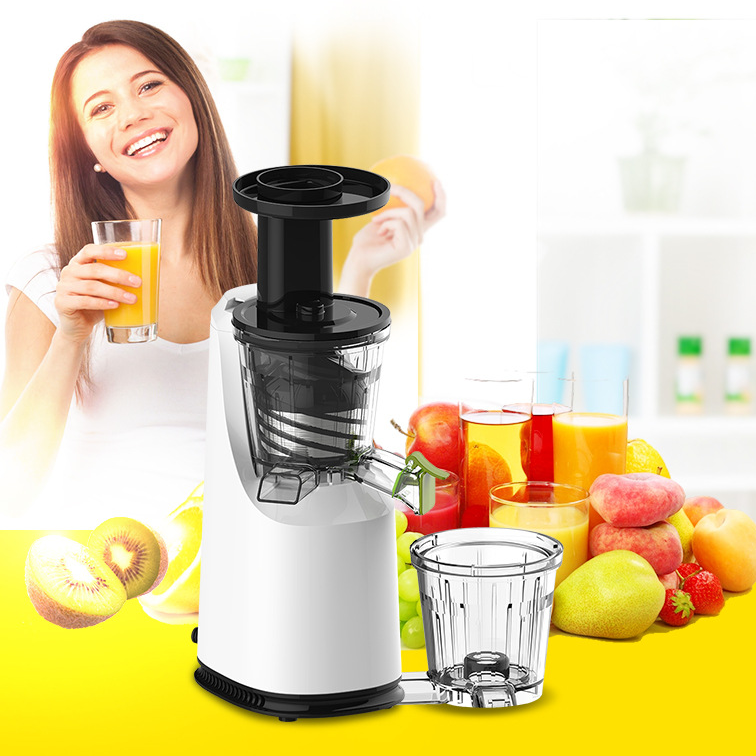 ( Máy ép hoa quả ) Máy ép trái cây tốc độ chậm Kiwi  - Tiêu chuẩn Châu Âu đời cao hơn SAVTM JE-07 JE220 JE-31 - công suất 120W, tốc độ 80 vòng/phút, nhỏ gọn - Bảo hành 24 tháng