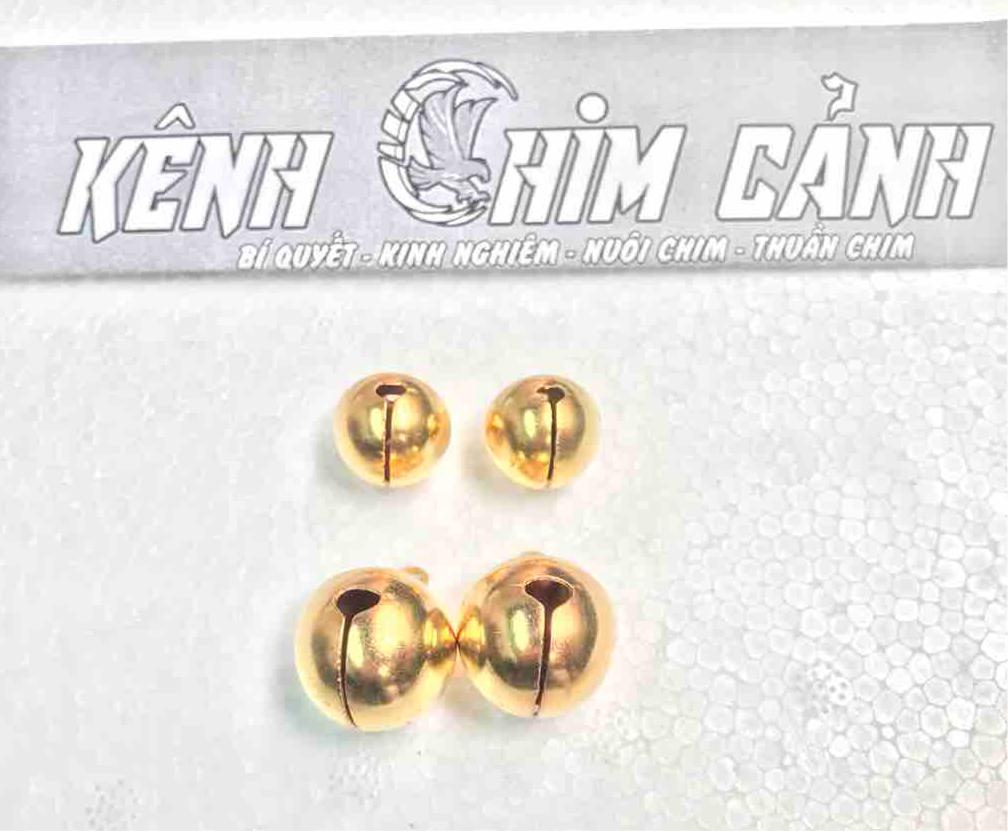 bộ chuông tay và chuông chân huấn luyện chim săn mồi-kênh chim cảnh