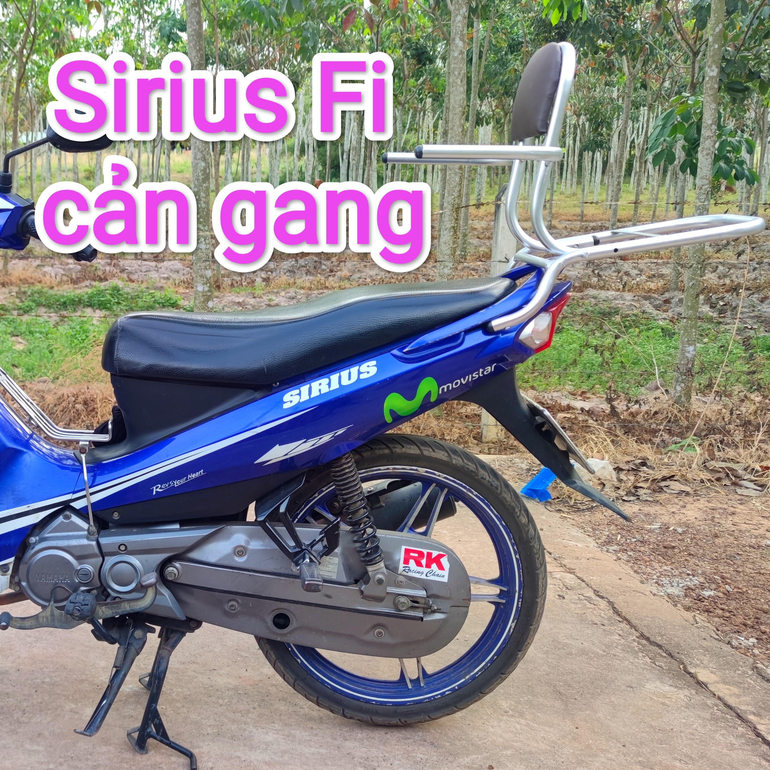 Baga phượt có đệm tựa lưng cho xe sirus Fi cảng sau bằng gang