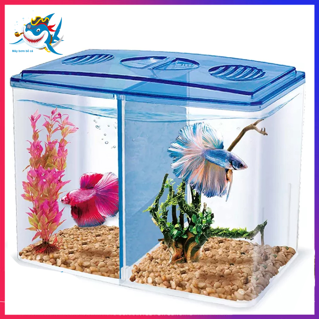 Bể cá cảnh mini 20x15x9cm, 2 ngăn để bàn tiện dụng