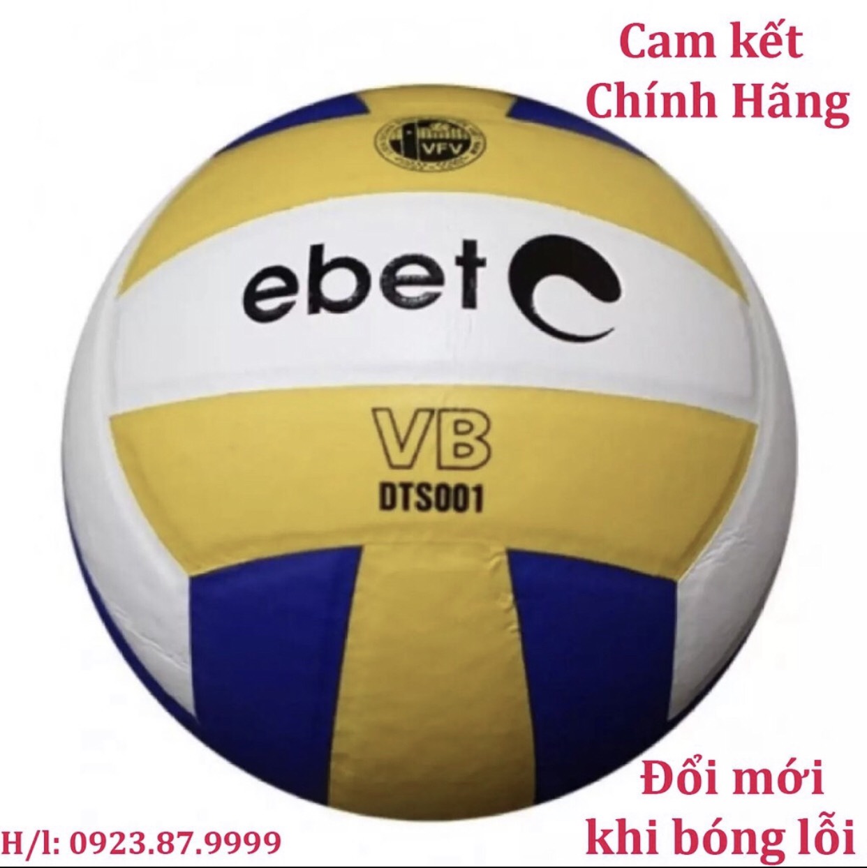 Bóng chuyền Động Lực Ebete DTS 001 + Tặng Kim bơm bóng