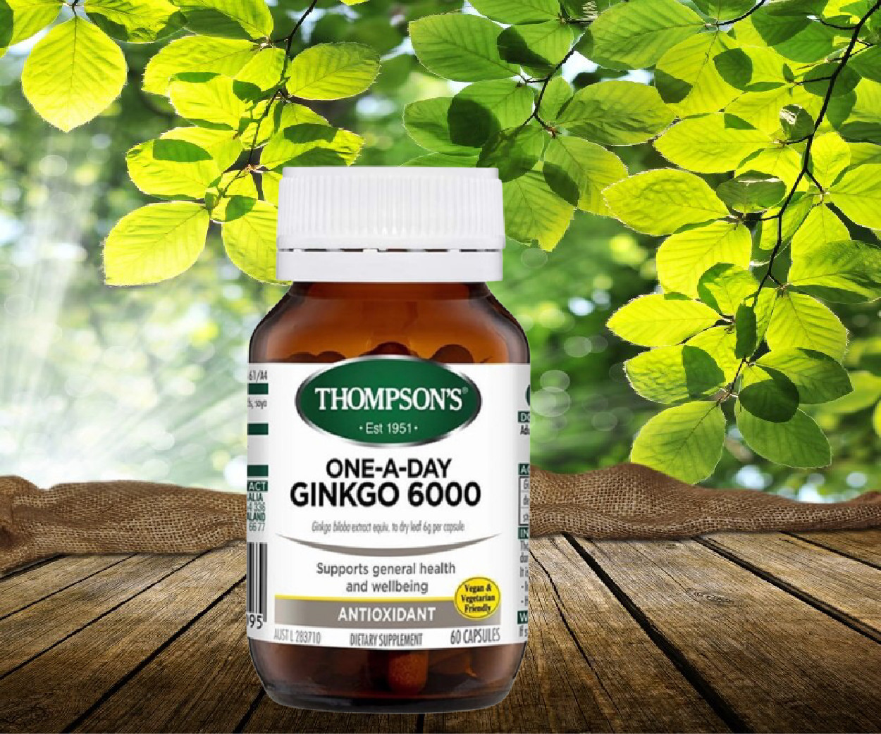 Bổ não _ Thompson's One-A-Day Ginkgo 6000mg _ Tăng cường tuần hoàn máu não, hỗ trợ nhận thức và lưu thông máu khỏe mạnh.