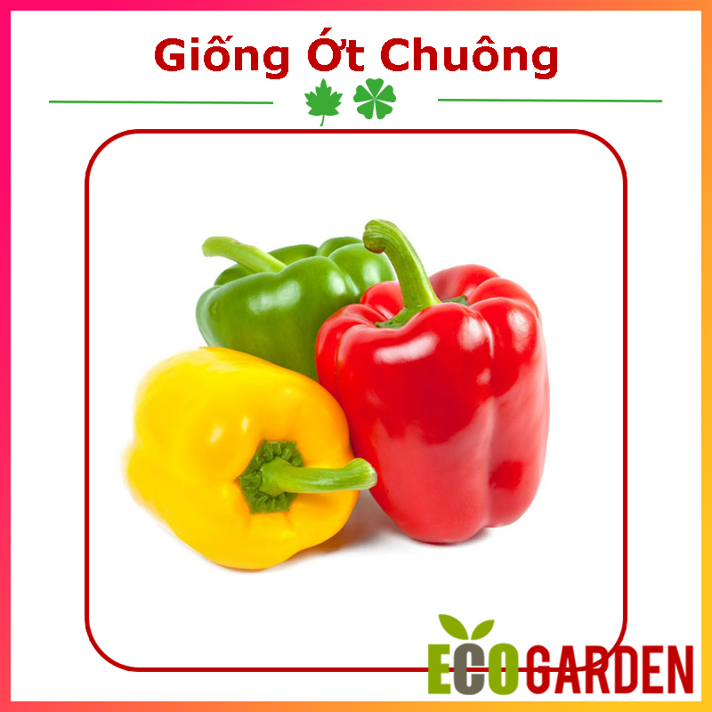 Hạt giống ớt chuông nhiều màu mix - gói 40 hạt
