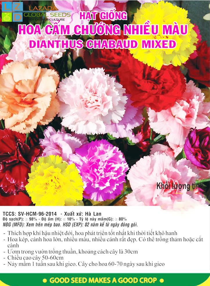[HCM]HOA CẨM CHƯỚNG  NHIỀU MÀU HÀ LAN_GÓI 05 GRAM - 5GRAM(GÓI LỚN)