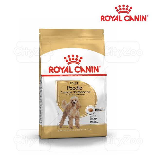 Thức ăN CHO CHó Royal Canin giá tốt Tháng 04,2023|BigGo Việt Nam
