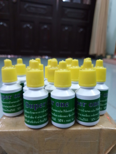 Super one – nấm cá cảnh