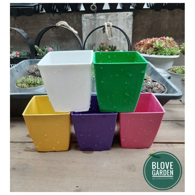 Chậu nhựa vuông cao cấp PP bóng đẹp size 8x8 độ bền cao trồng cây cảnh để bàn, sen đá