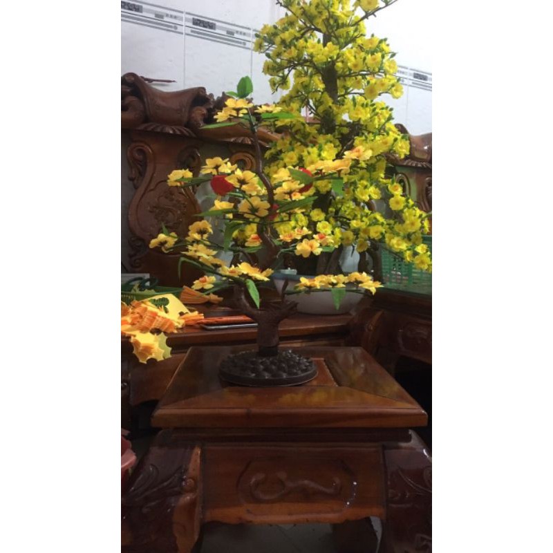 Cây hoa Mai chiều dài 40cm