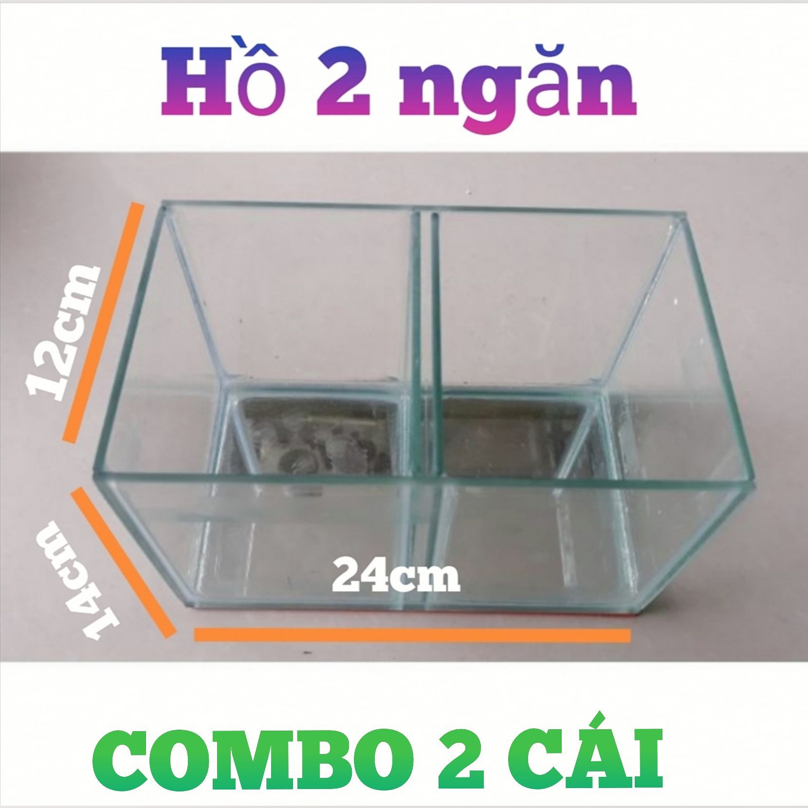 Combo 2 cái hồ 2 ngăn nuôi giá 150k