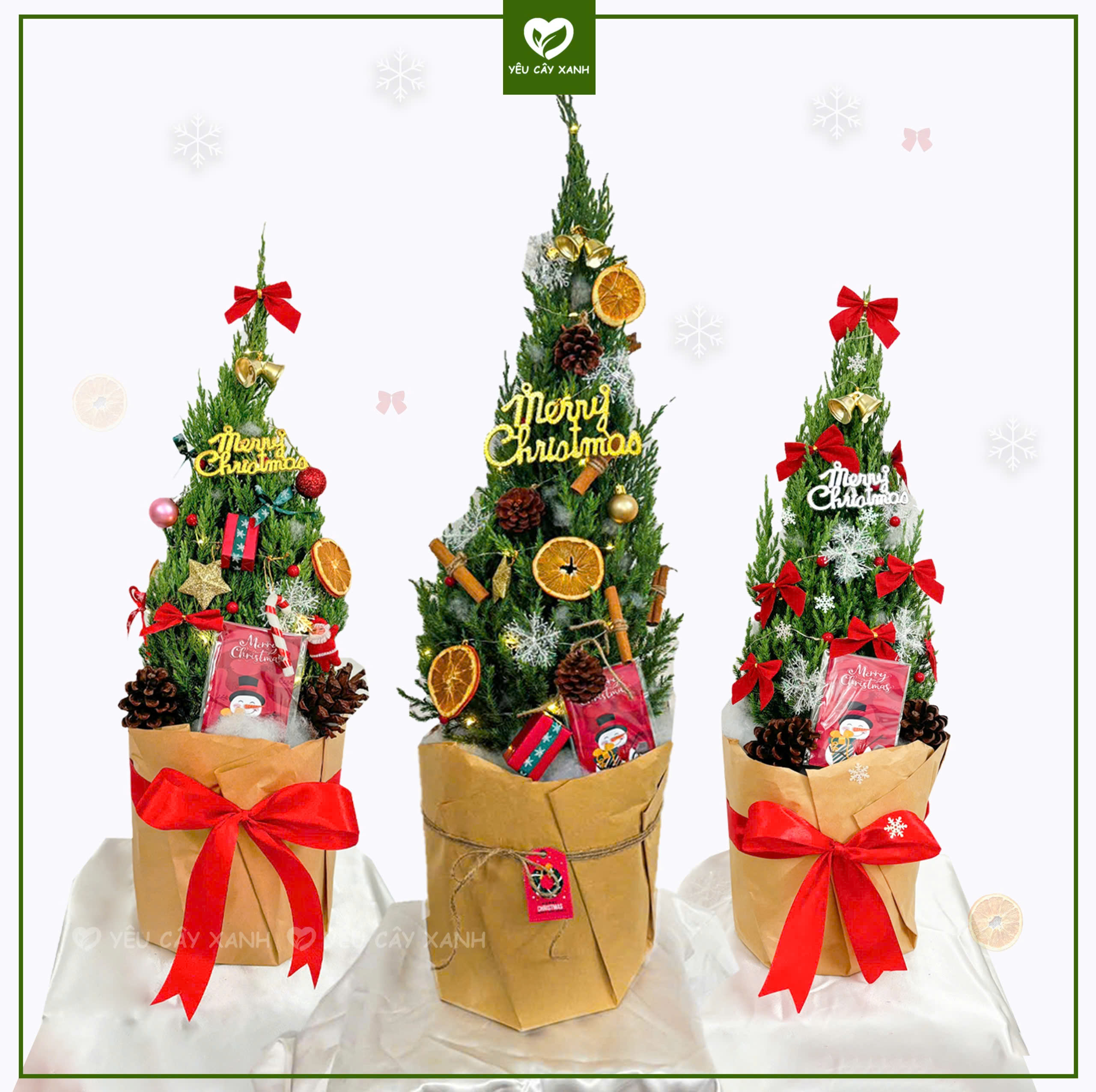 [CHỈ GIAO HỎA TỐC HCM] - Cây Sơn Tùng Noel trang trí noel giáng sinh kèm phụ kiện trang trí TẶNG kèm giấy Kraft và bông gòn