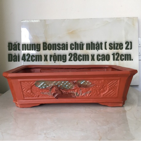 Chậu đất nung bonsai chữ nhật ( size 2)