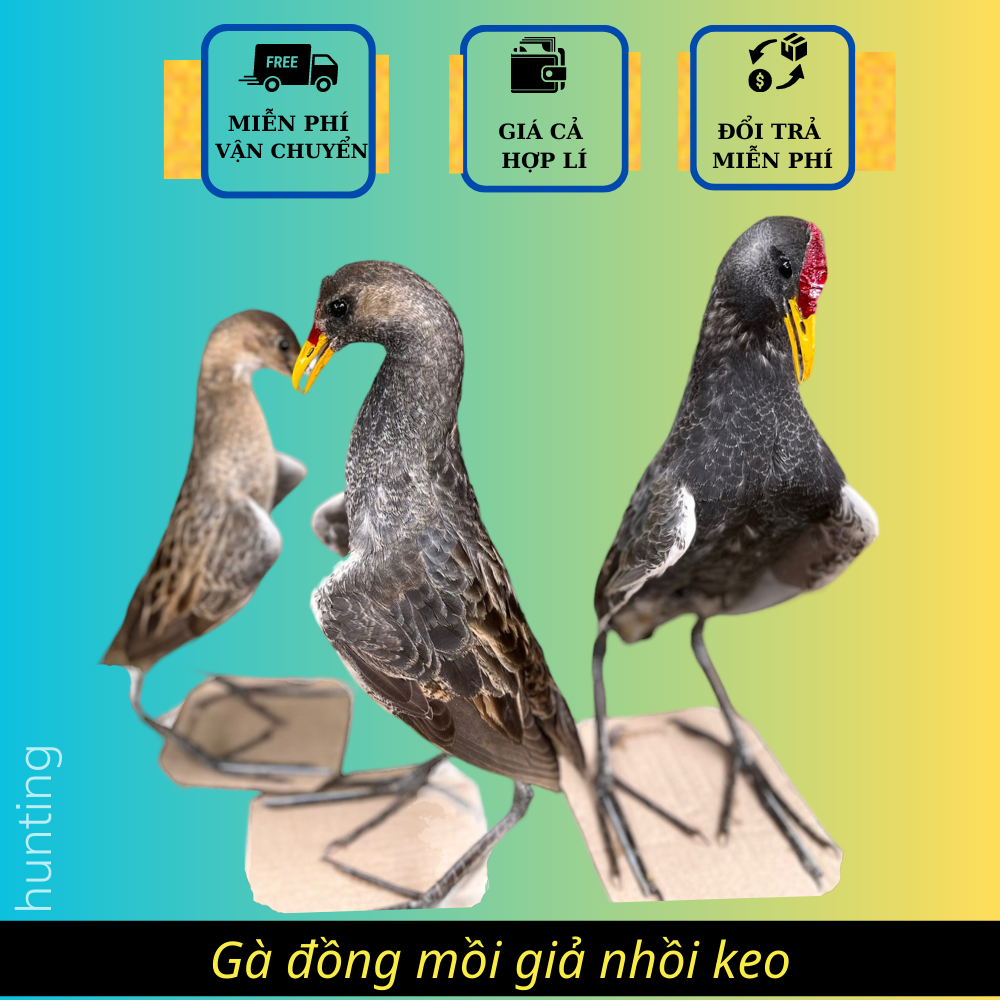 Cúm núm, gà đồng giả nhồi keo, mẫu mới không mối mục chất lượng 2023