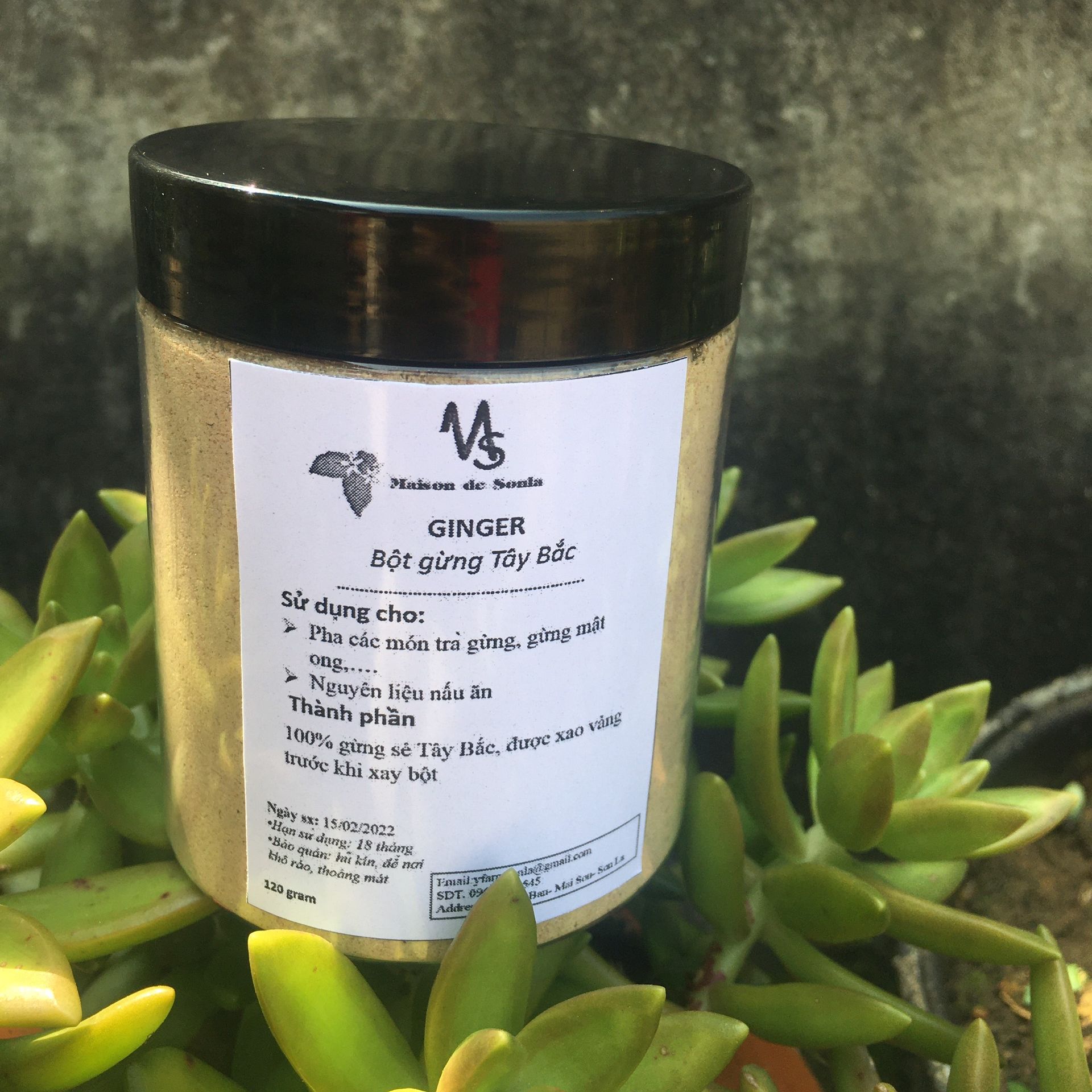 Bột gừng tây bắc cay thơm vụ mới hũ 120gram- maison