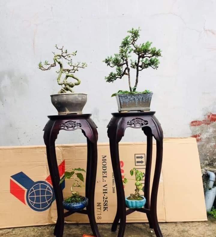 Đôn kiều gỗ gụ mật kích thước cao 80 cm đường kính mặt 30 cm.