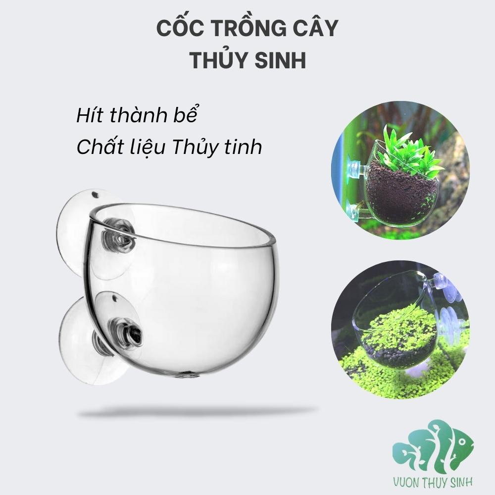 Cốc trồng cây thủy sinh kèm hít kính gắn thành bể cá chất liệu thủy sinh