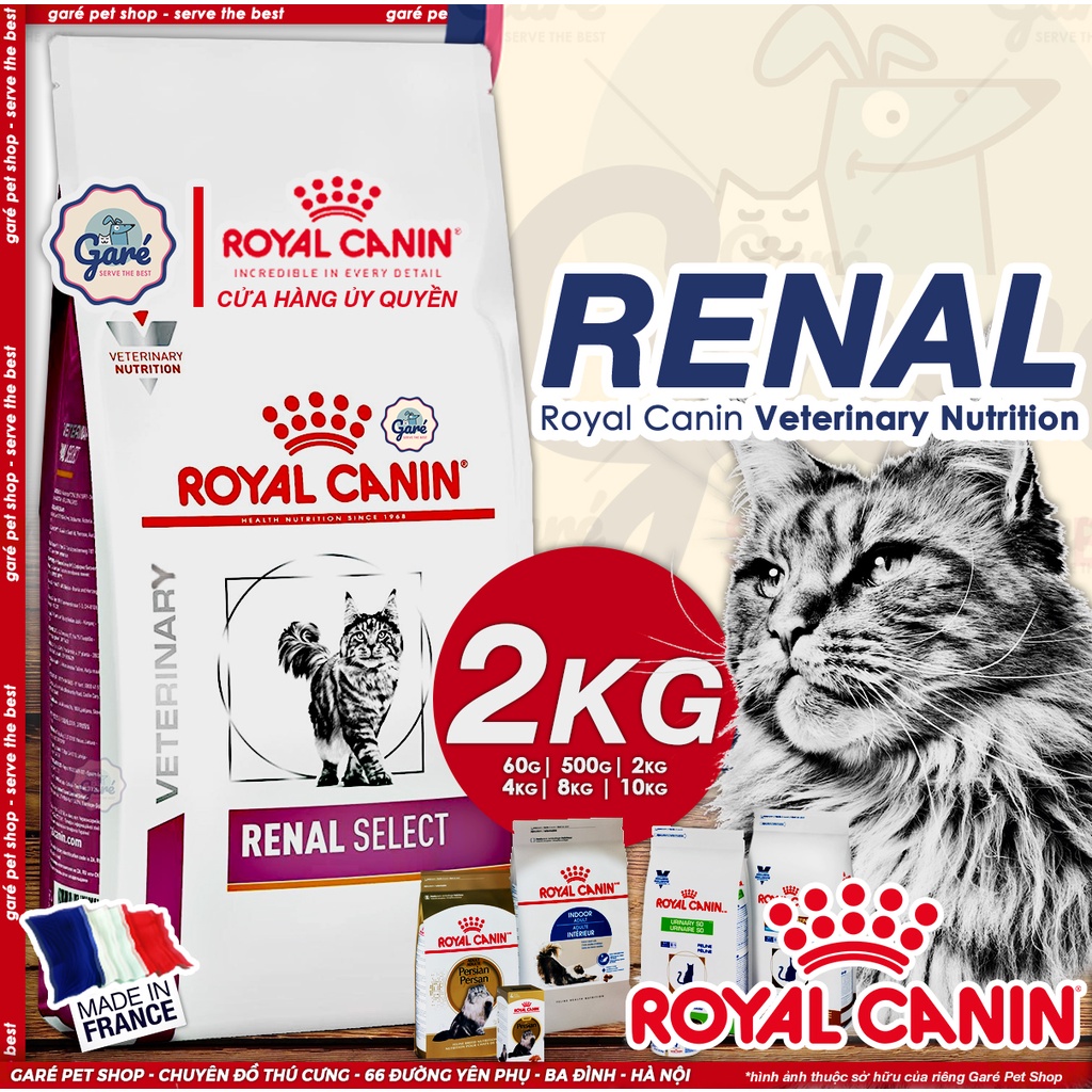 2kg - Hạt Renal Royal Canin Cat hỗ trợ chức năng thận cho Mèo Garé Pet Shop