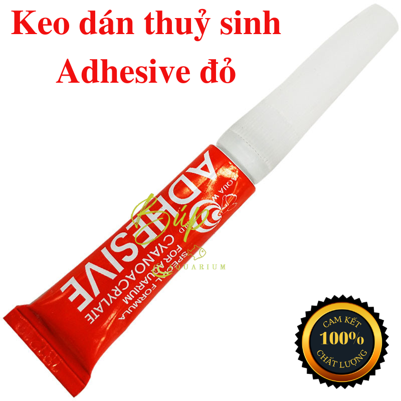Keo dán thủy sinh chuyên dùng dán cây thủy sinh như rêu, ráy, dương xỉ, bucep lên đá, lũa, có thể dán trực tiếp dưới nước