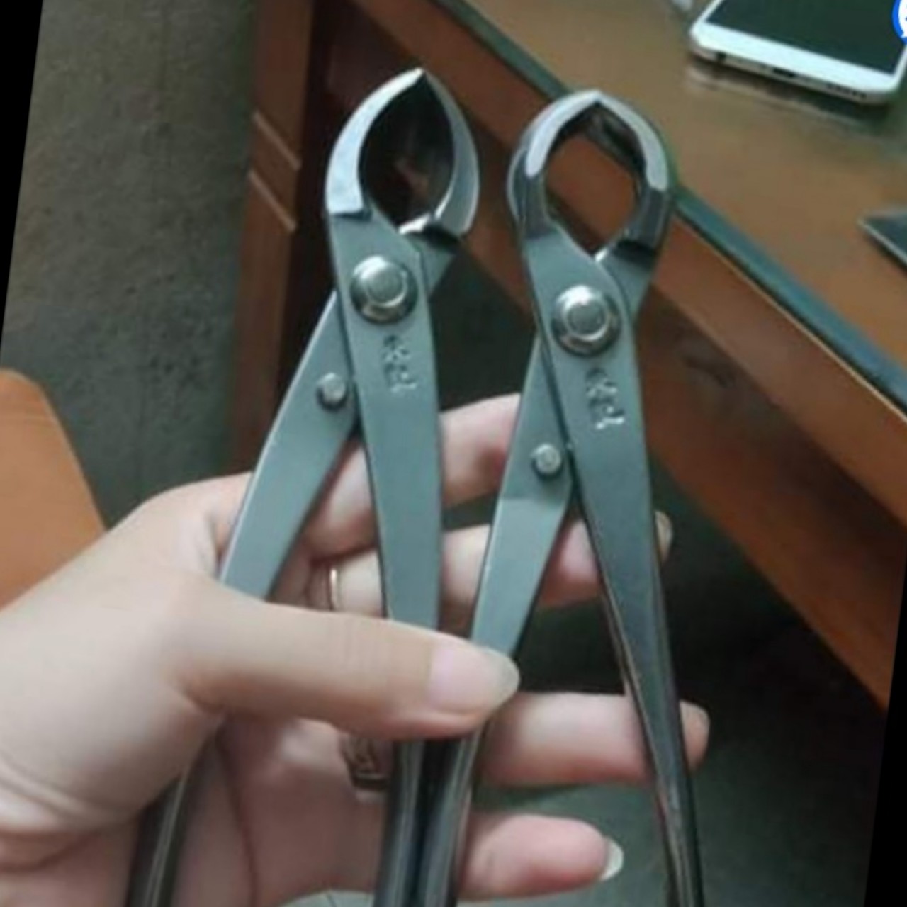 Kìm Cạp Xéo Tròn Móc Sẹo Bonsai Nhật Bãi