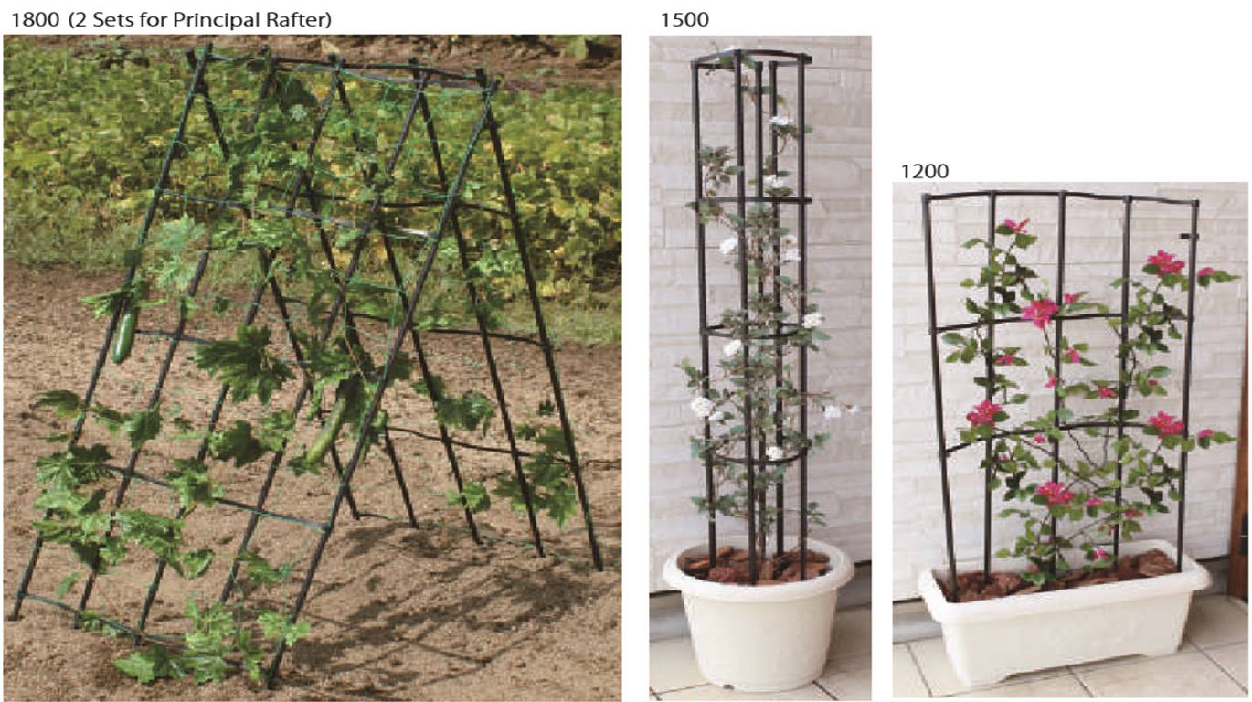 Shop Kenkou - Giàn hoa leo daim Nhật bản - Giàn mềm đa năng - Giàn leo hoa hồng - Giàn hoa leo