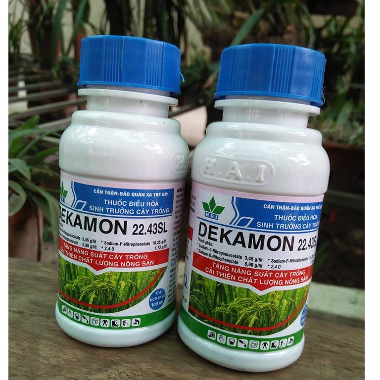 DEKAMON 100ML