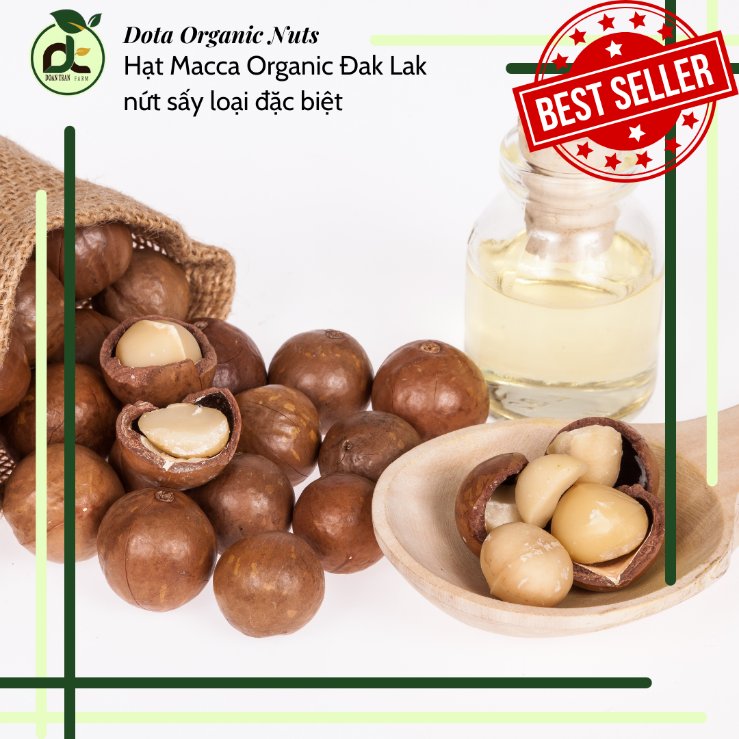 500g hạt Macca Organic Đak Lak nứt sấy loại đặc biệt size lớn