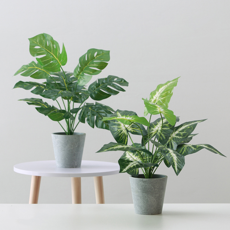 Cây giả - Cây lá rùa nhân tạo Decor trang trí chụp hình sống động Monisa Gift