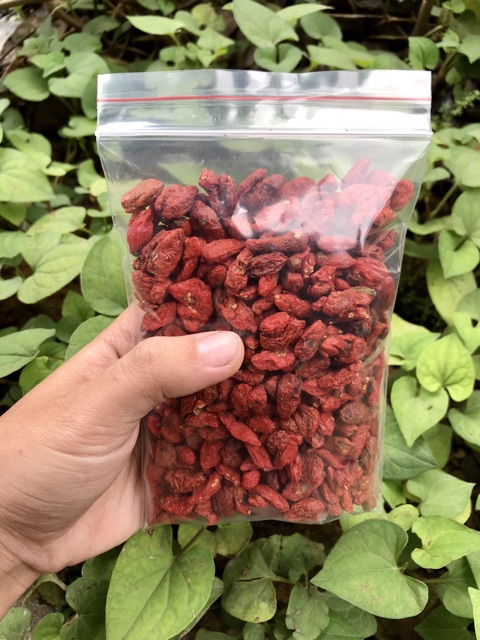Kỉ tử hữu cơ gói 100gr dùng thử