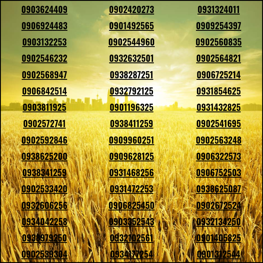 Sim MobiFone siêu đẹp phong thủy chọn lọc đầu 09 sảnh