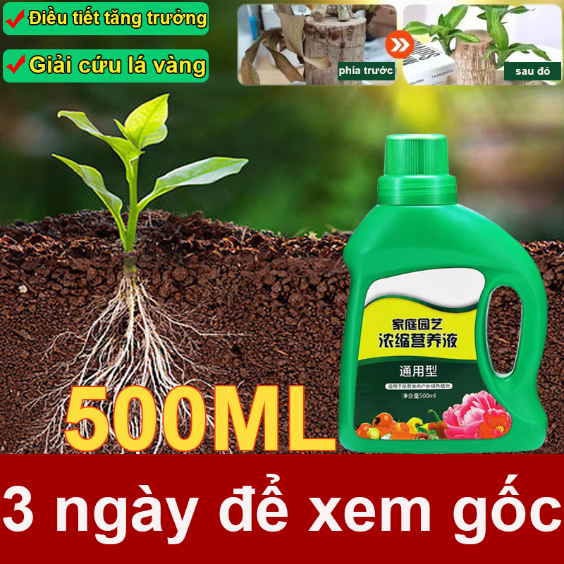 Rễ mãnh liệtthuốc kích rễ thuốc kích rễ cây kích rễ kích rễ cực mạnh 500ML Công suất lớn Cải thiện tỷ lệ sống sót 1 tuần có n3m Hấp thụ nhanh chóng Điều trị lá vàng thuốc bảo vệ thực vật kích rễ