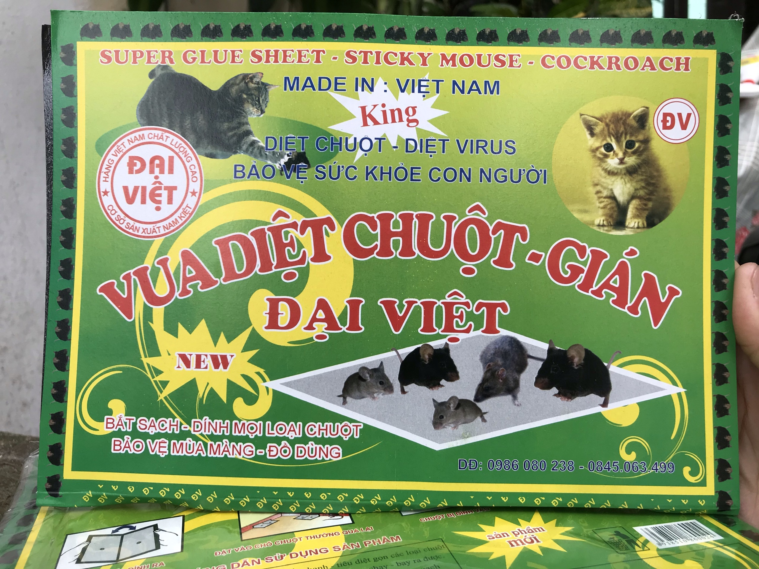 Combo 10 tấm siêu dính chuột dùng được nhiều lần keo dính chuột hiệu quả dính chuột siêu chắc