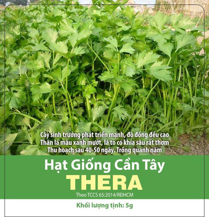 Hạt Giống Rau Cần Tây Xanh Chịu Nhiệt, Năng Suất (5gr)