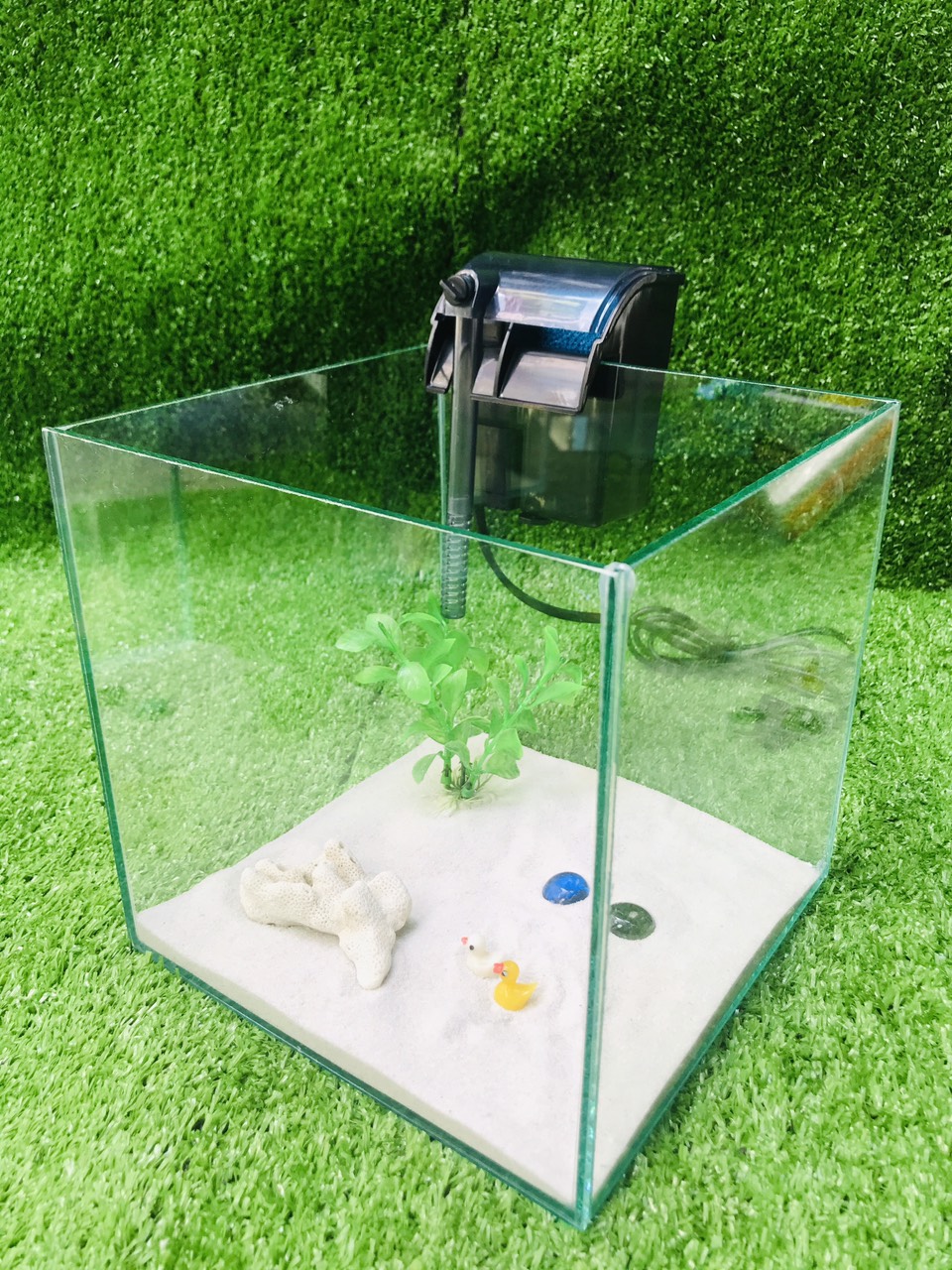 bể cá cubic - combo - bể cá mini