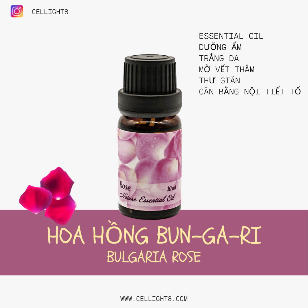 Tinh dầu hoa hồng - Rose Essential Oil
